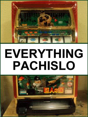 Cover of the book Everything Pachislo by Mary K. Levenstein