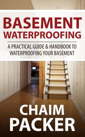 Cover of the book Basement Waterproofing by Bowe Packer