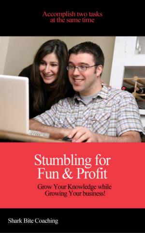 Book cover of Stumbling for Fun & Profit
