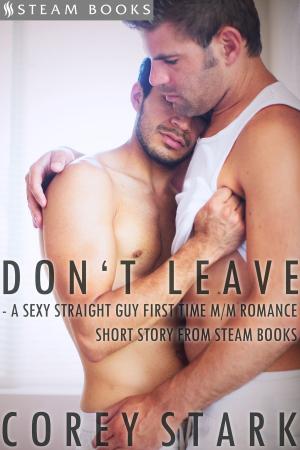 Cover of the book Don't Leave - A Sexy Straight Guy First Time M/M Romance Short Story From Steam Books by Sandra Sinclair, Steam Books