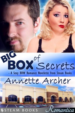 Book cover of Big Box of Secrets - A Sexy BBW Romance Novelette from Steam Books