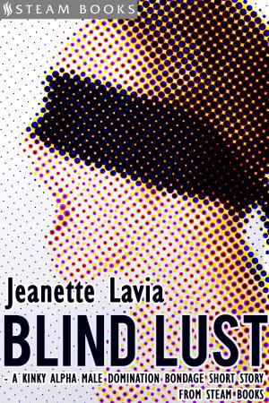 Book cover of Blind Lust - A Kinky Alpha Male Domination Bondage Short Story from Steam Books