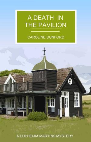 Cover of the book A Death in the Pavilion by Andrea Frazer