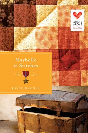 Cover of the book Maybelle in Stitches by Barbara Cameron