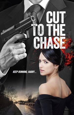 Cover of the book Cut to the Chase by R. L.  Anderson