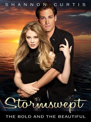 Cover of the book Stormswept: The Bold and the Beautiful by Jennifer Fleming, Michele Chevalley Hedge
