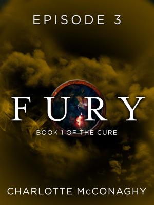bigCover of the book Fury: Episode 3 by 