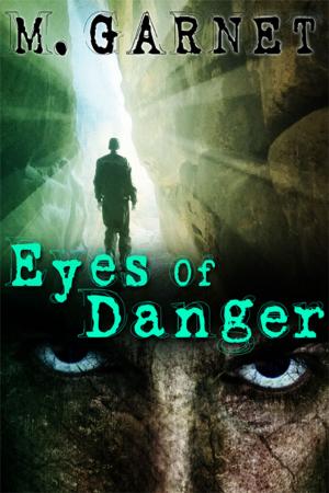 Cover of the book Eyes of Danger by Tessa Brookfield
