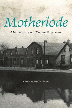 bigCover of the book Motherlode by 