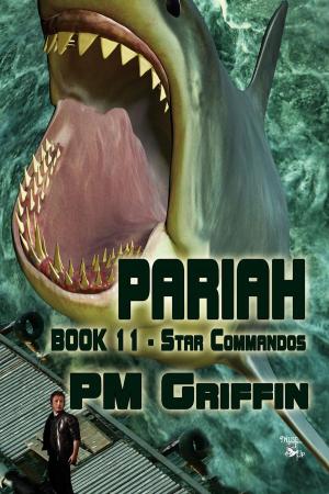 Cover of the book Pariah by Debbie Manber Kupfer