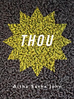 Cover of the book THOU by Devon Code