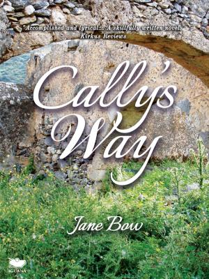 Book cover of Cally's Way