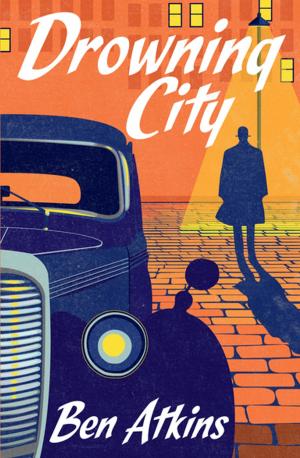 Cover of the book Drowning City by Jeff Hopkins-Weise