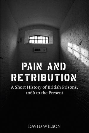 Cover of the book Pain and Retribution by Axel Klein