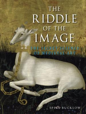 Book cover of The Riddle of the Image