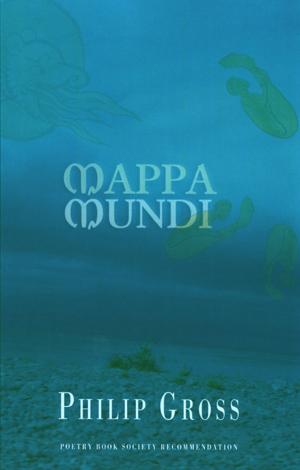 Cover of the book Mappa Mundi by Anne Stevenson