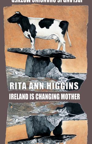 Cover of the book Ireland Is Changing Mother by Helen Dunmore