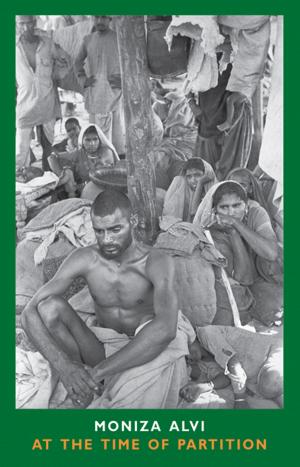 Cover of the book At the Time of Partition by Colin C. Claxon