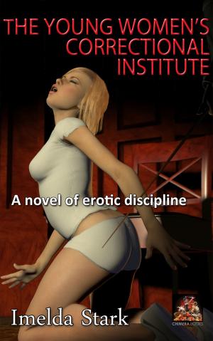 bigCover of the book The Young Women's Correctional Institute by 