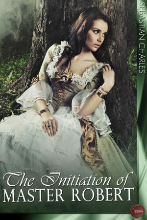 Cover of the book The Initiation of Master Robert by P S Quick