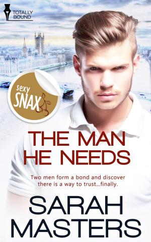 Cover of the book The Man He Needs by Bellora Quinn, Sadie Rose Bermingham