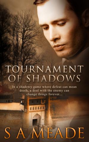 bigCover of the book Tournament of Shadows by 