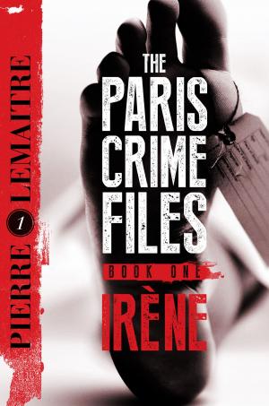 Book cover of Irène