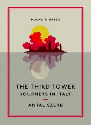 Cover of the book The Third Tower by Miljenko Jergovic