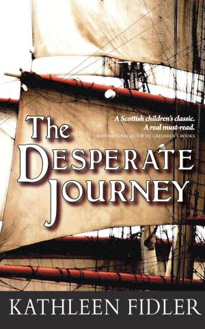 Book cover of The Desperate Journey