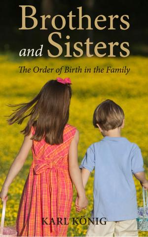 Cover of the book Brothers and Sisters by Kristina Turner