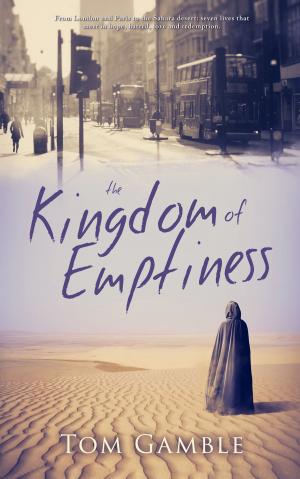 Book cover of The Kingdom of Emptiness