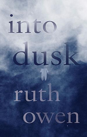 bigCover of the book Into Dusk by 
