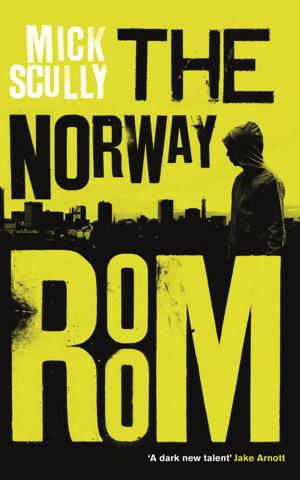 Cover of the book The Norway Room by Books Chartered Management Institute