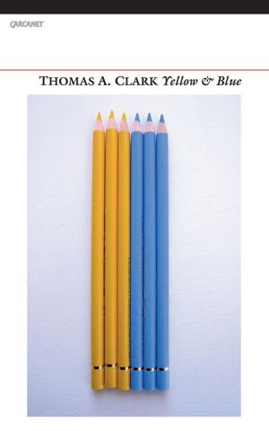 Cover of the book Yellow & Blue by Thomas McCarthy