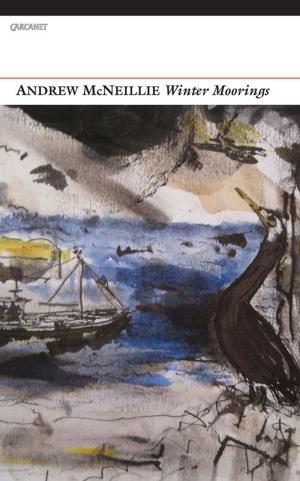 bigCover of the book Winter Moorings by 