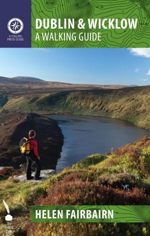 Cover of the book Dublin & Wicklow: A Walking Guide by Jim Wilson, Oran O'Sullivan
