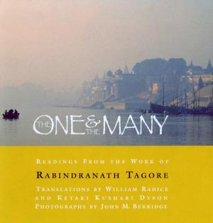 Book cover of THE ONE AND THE MANY