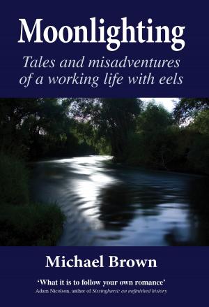 Cover of the book Moonlighting by Helen Ebrey