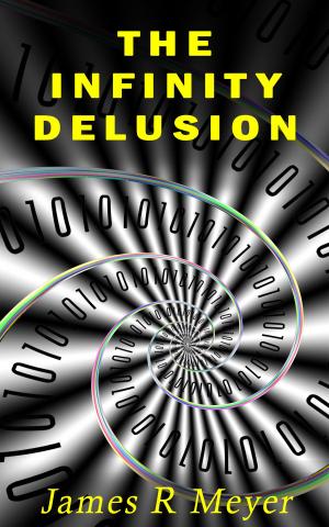 Cover of The Infinity Delusion