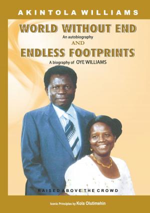 Cover of the book World Without End [+] Endless Footprints by Author Debbie