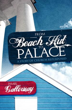 Cover of the book From Beach Hut To Palace by Steve Uppal
