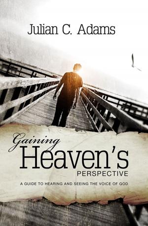 Cover of the book Gaining Heaven's Perspective by Kevin Shoemaker