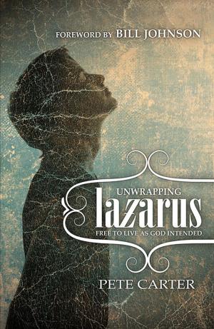 Cover of the book Unwrapping Lazarus by Mary Pytches