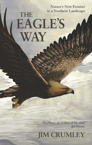 Cover of the book The Eagle's Way by Laura Marney