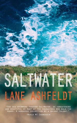 Cover of the book SaltWater by Risteárd Mulcahy