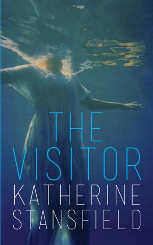 Cover of the book The Visitor by Carly Holmes