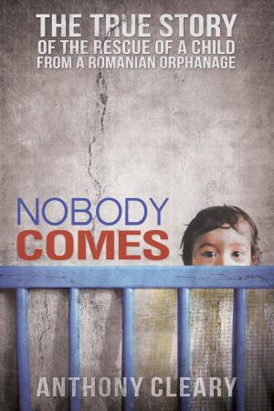 Cover of the book Nobody Comes by Jennifer Z. Wright