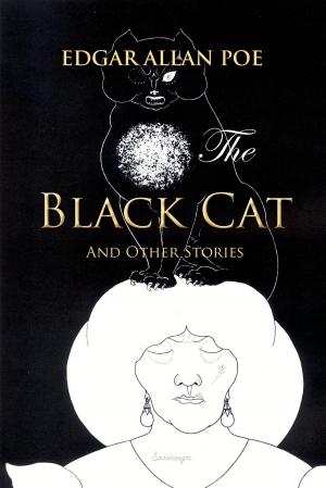 Cover of the book The Black Cat and Other Stories by James Stephens