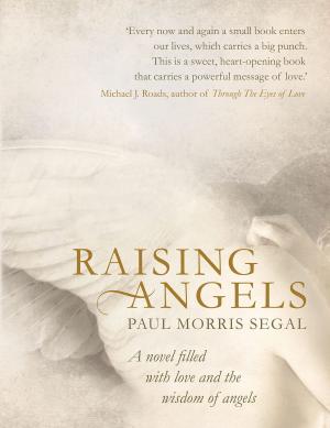 Book cover of Raising Angels