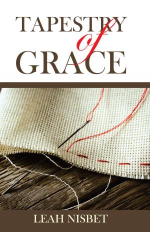 Cover of the book Tapestry of Grace by Lee Tobin McClain